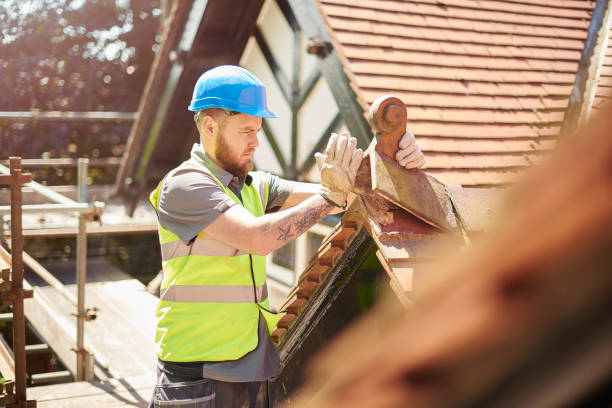 Best Emergency Roof Repair  in Bean Station, TN
