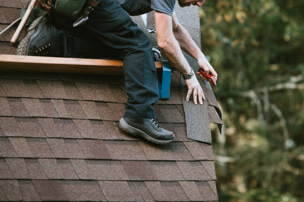 Best Roof Gutter Cleaning  in Bean Station, TN